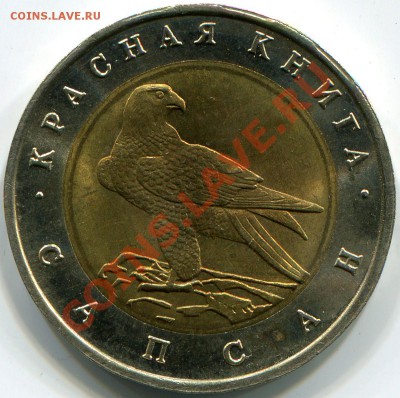 Красная книга 1994 Сапсан. Раскол - img072