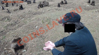 ФОТО - просто фото. Те что получились удачными. - 15