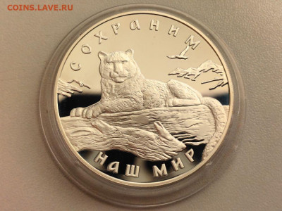 3р 2000 Снежный барс. Сохраним наш мир, Ag900, до 12.12 - 3р Снежный барс-1