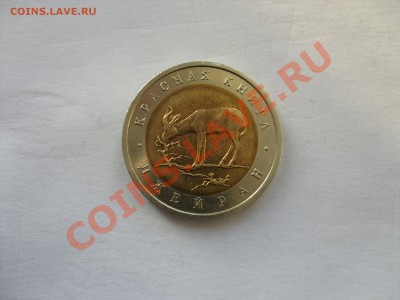 50 рублей 1994г. Джейран. - 50 рэ Джейран - 2