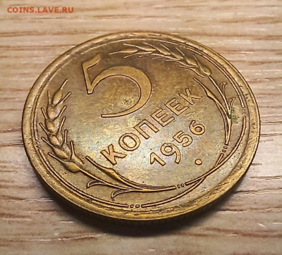 5 копеек 1956 AU до 13.12.24 - 20241207_161108