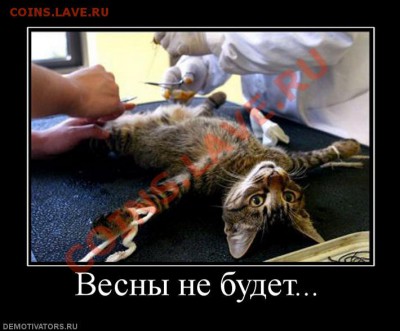 юмор - 788809_vesnyi-ne-budet