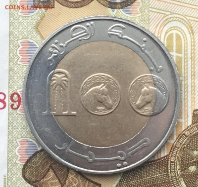 Алжир 100 динаров 2002 Независимость до 12.12.2024 в 22.00 - IMG_E3911.JPG