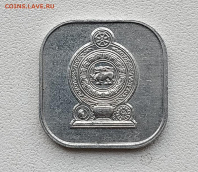 Шри Ланка 5 центов 1988г до 14.12.2024. 21.00мск - IMG_20241209_155042