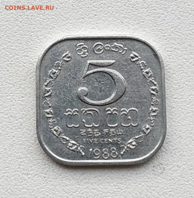 Шри Ланка 5 центов 1988г до 14.12.2024. 21.00мск - IMG_20241209_155038