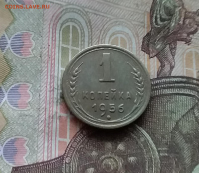 1 копейка 1956. До 15.12.24 в 22.00 - 20241210_155824