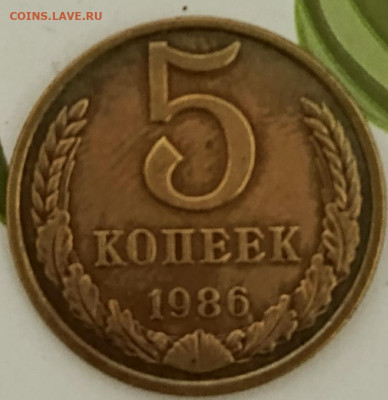 5 копеек 1986г - 1733873719460