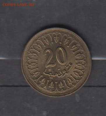 Тунис 2007 20м без оброта до 15 12 - 81