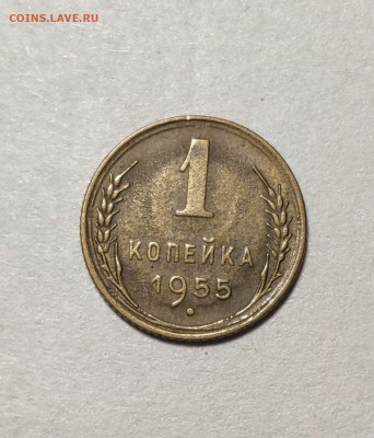 1 копейка 1955 года. До 13.12.24 г. - IMG_20241211_102501