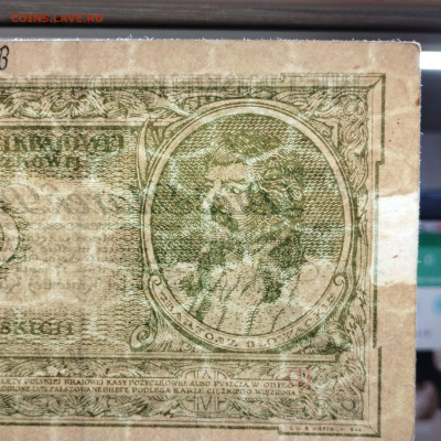 5 марок Польши, 1919г., до 15.12.24г. - IMG_20241211_211710