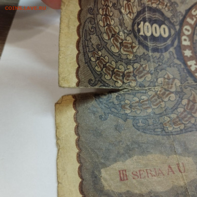 1000 марок Польши, 1919г., до 15.12.24г. - IMG_20241211_211910