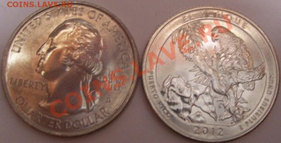 11квотер серии "Национальные Парки"   EL YUNQUE  puerto rico - 100_0586.JPG