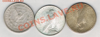 Серебряные доллары США! - CCI01022012_00004