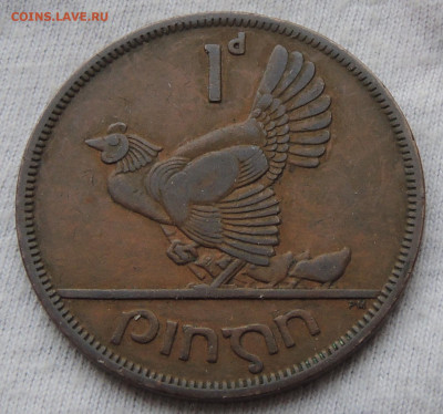 Ирландия 1 пенни 1950 до 18.12.2024 - Ирландия 1 пенни 50.JPG