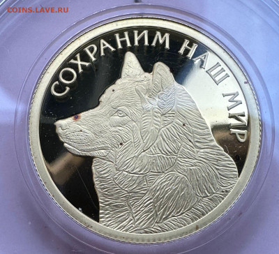 50 рублей 2020 Полярный Волк Сохраним наш мир - 2c510b12-36d6-4631-8f4c-49f4dc1ebaa7