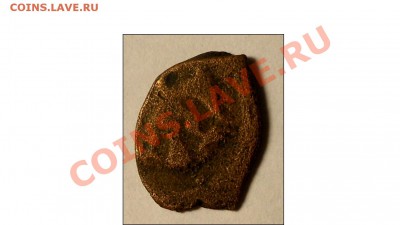 Большая медная чешуя - DSCN0994