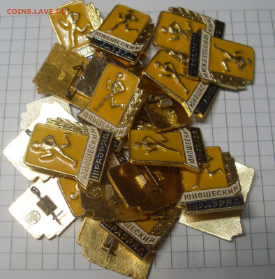 шт - SDC18833.JPG