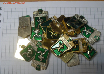 шт - SDC18841.JPG