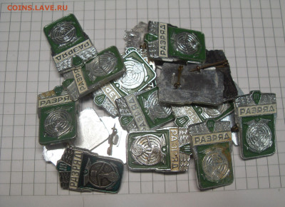шт - SDC18849.JPG
