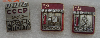 комплект - SDC19019.JPG