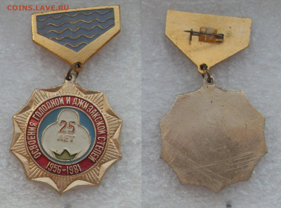 Знак 25 лет Освоения голодной и Джизакской степи 1956-1981гг - SDC17551.JPG
