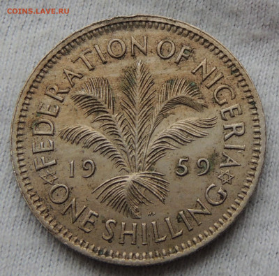 Нигерия 1 шиллинг 1959 до 18.12.2024 - Нигерия 1 шиллинг 59.JPG
