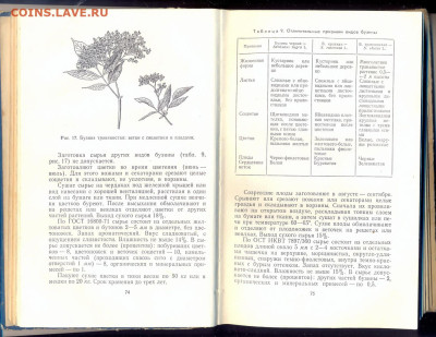 "Лекарственные растения Украины" 1974г. - лекарственные растения Украины 3