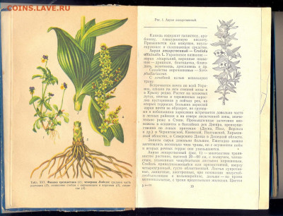 "Лекарственные растения Украины" 1974г. - лекарственные растения Украины 2