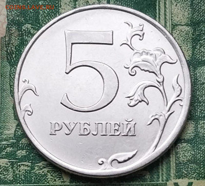5р. 2011г. ММД. (Наплыв) до 19-12-24г - 20241216_113948