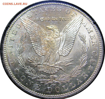 Ag США 1$ Morgan Dollar 1884CC MS-64 в слабе до 23.12 в 22°° - Morgan Dollar 1884CC_1