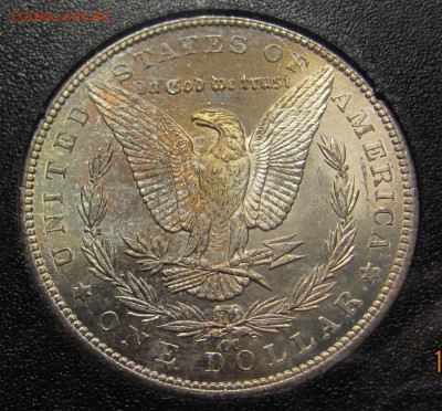 Ag США 1$ Morgan Dollar 1884CC MS-64 в слабе до 23.12 в 22°° - Morgan Dollar 1884CC_3