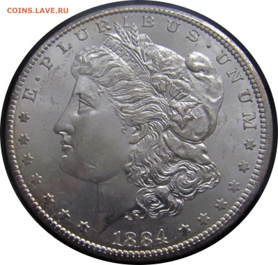 Ag США 1$ Morgan Dollar 1884CC MS-64 в слабе до 23.12 в 22°° - Morgan Dollar 1884CC_1