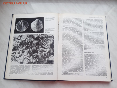 Книга наука и человечество 1986 год - IMG_20241220_115405