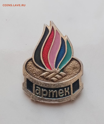 Знак артек до 27.12.24 в 22:00 по мск - IMG_20241221_144135