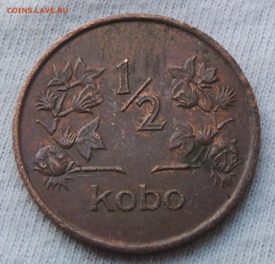 Нигерия ½ кобо 1973 до 25.12.2024 - Нигерия ½ кобо 73.JPG