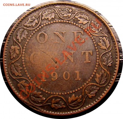 F84 Канада 1¢ 1901 до 06.02 в 22°° - F84 1c 1901_2