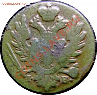 C51 Польша 1 грош 1824 г. до 06.02 в 22°° - C51 1 grosh 1824_2