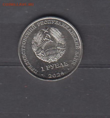 ПМР 2024 1р год змеи до 25 12 - 35ак