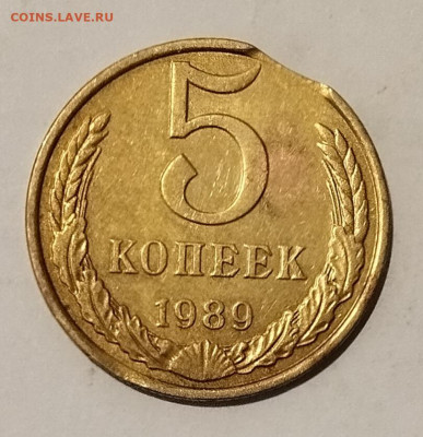 5 копеек 1989 выкус до 28.12.2024 - IMG_20241222_141133