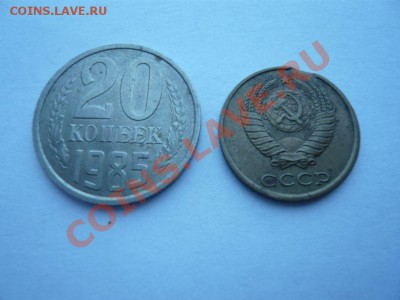 Расколы, выкус, повороты 10 шт. до 5.02.12 г. 22.оо МСК - P1080648.JPG
