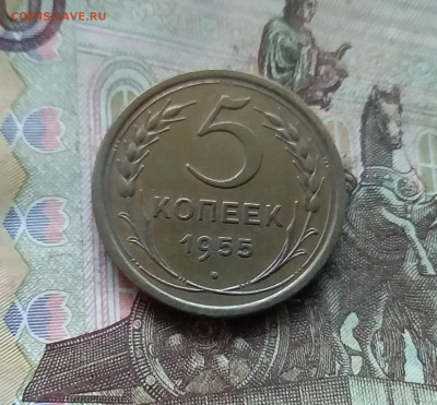 5 копеек 1955. До 27.12.24 в 22.00 - 20241224_125530