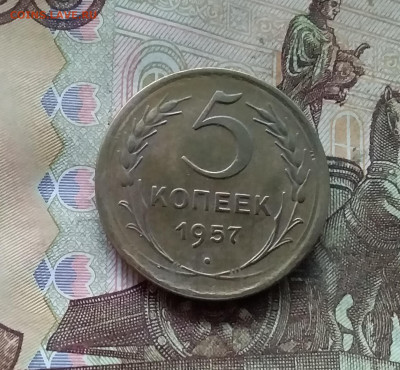 5 копеек 1957. До 27.12.24 в 22.00 - 20241224_125925