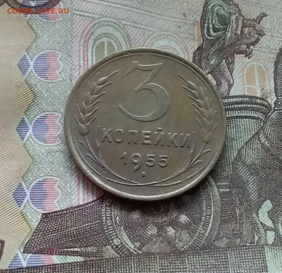 3 копейки 1955. До 27.12.24 в 22.00 - 20241224_163553