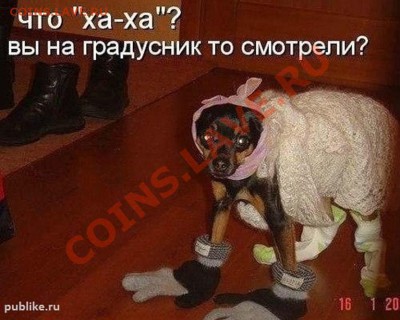 перекличка городов по температуре - Холодно