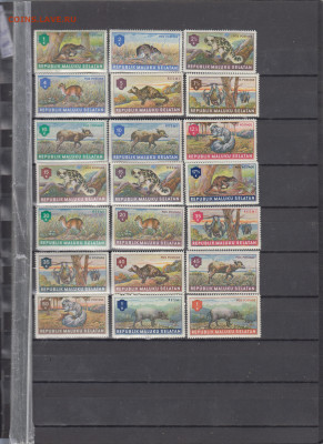 Малуку Селатам  фауна 21м до 29 12 - 28