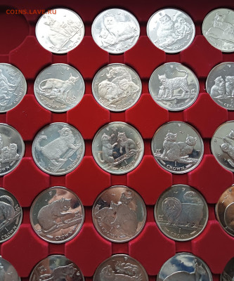 Мэн набор 1 крона кошки 29 шт до 28.12 - IMG20241222135850