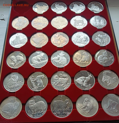 Мэн набор 1 крона кошки 29 шт до 28.12 - IMG20241222135845