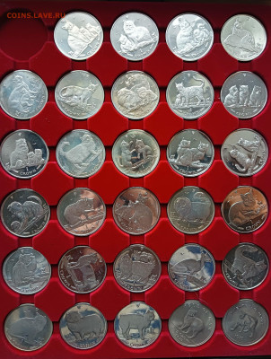 Мэн набор 1 крона кошки 29 шт до 28.12 - IMG20241222135827