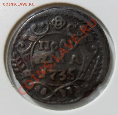 полушка 1735г. до 6.02 в 22.00 - SAM_4147.JPG