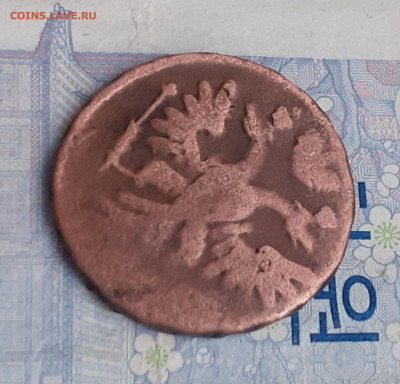 денга 1739. До 2.01.25. - 20241228_091634